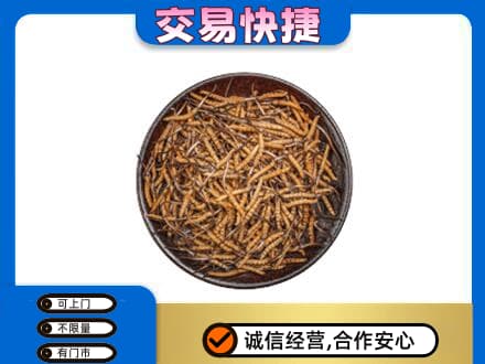 襄阳市襄州高价回收散虫草